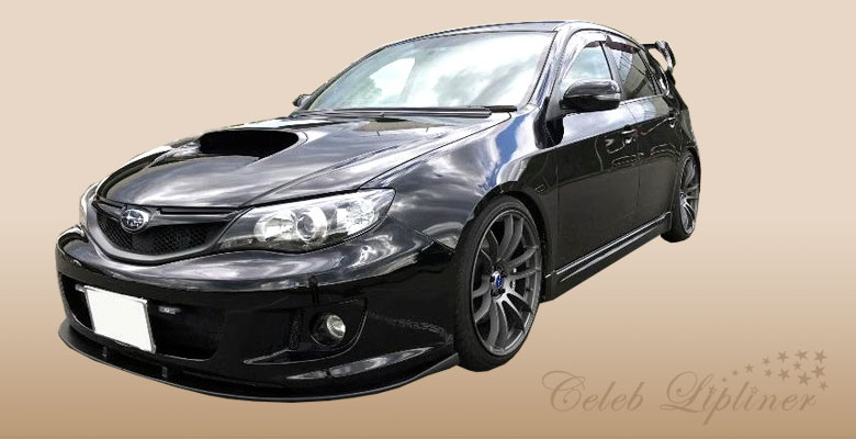 リップスポイラー国産普通車セレブリップライナー