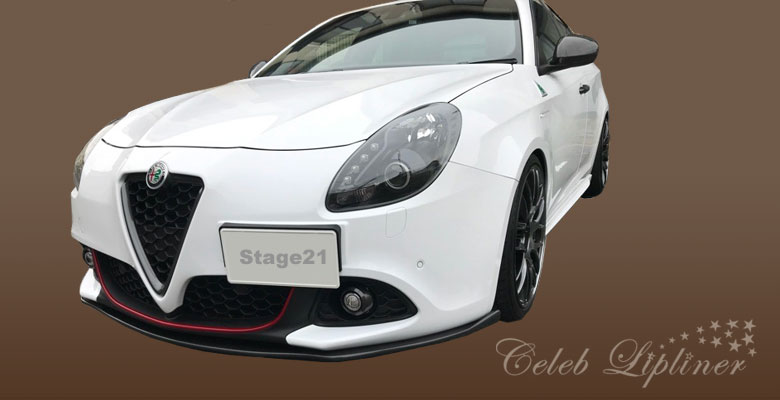 リップスポイラー輸入車セレブリップライナー